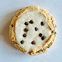 Chocolate Chip Banana Cream Pie